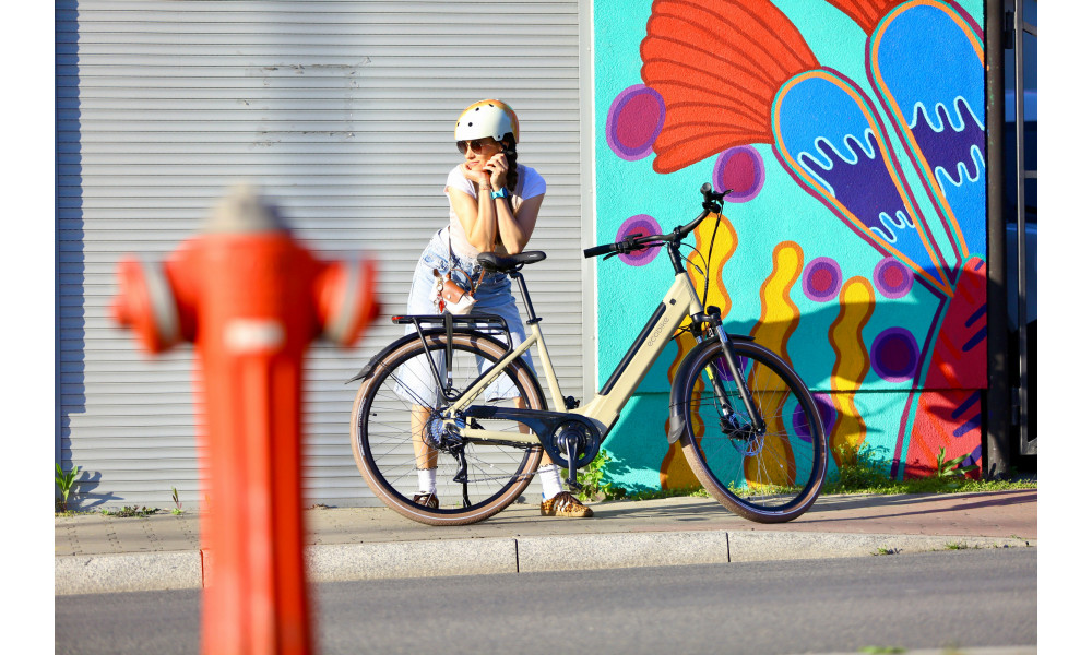 Elektrijalgratas Ecobike X-City Cappuccino V3 630Wh - 5