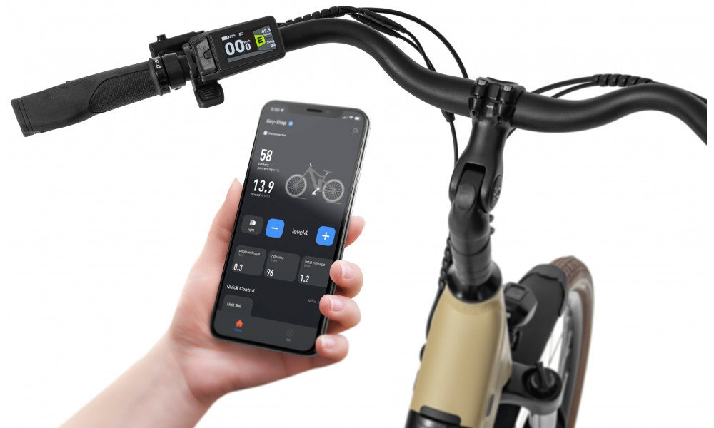 Elektrijalgratas Ecobike X-City Cappuccino V3 630Wh - 18