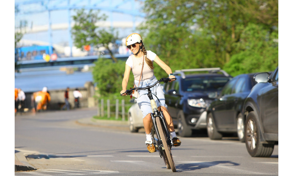 Elektrijalgratas Ecobike X-City Cappuccino V3 630Wh - 26