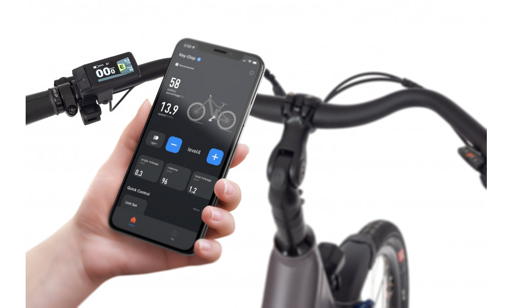 Elektrijalgratas Ecobike X-City Coffee V3 630Wh - 3