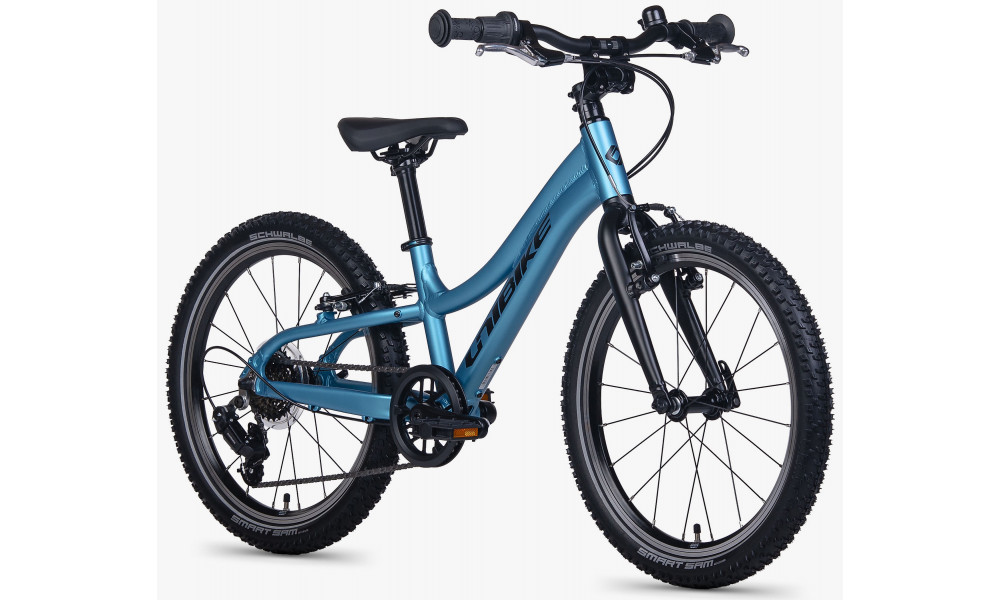 Jalgratas Unibike Twist 20 2026 blue - 2