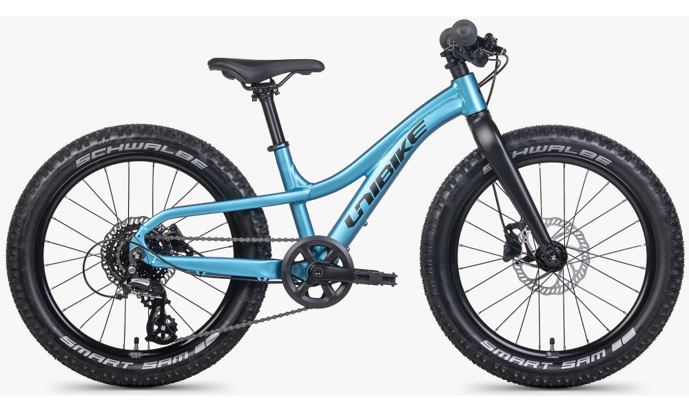 Jalgratas Unibike Dart 20 2026 blue - 1
