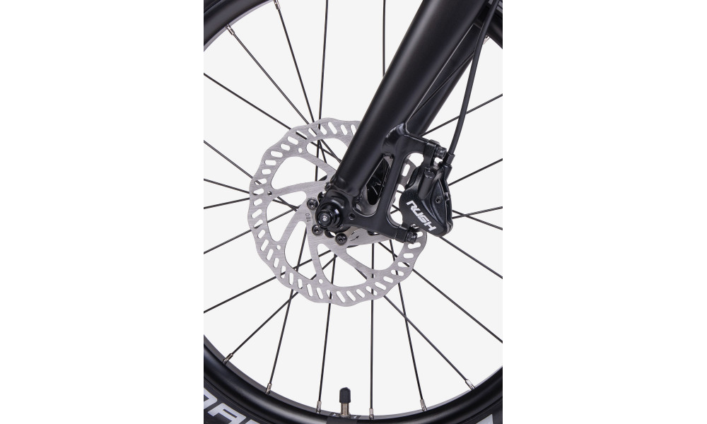 Jalgratas Unibike Dart 20 2026 blue - 5