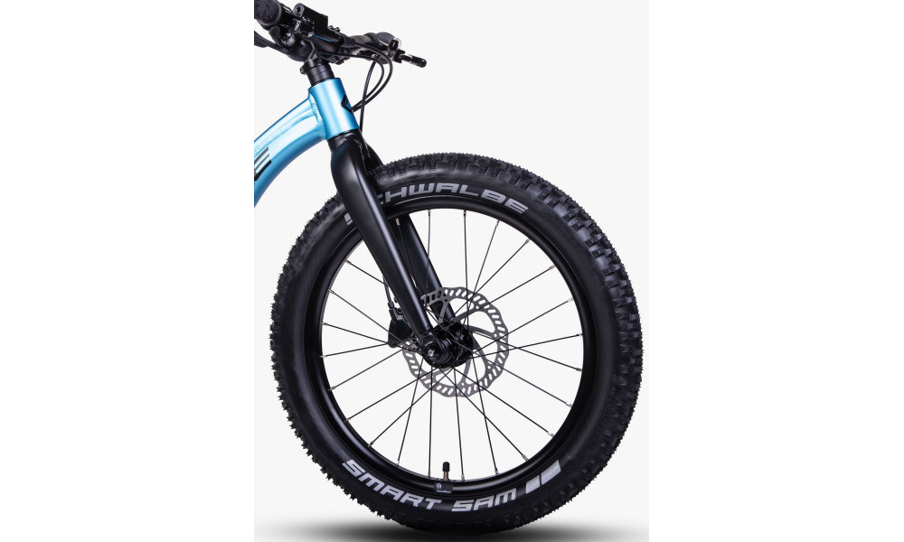 Jalgratas Unibike Dart 20 2026 blue - 6