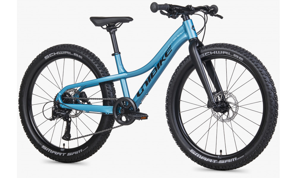 Jalgratas Unibike Rock 24 2026 blue - 2
