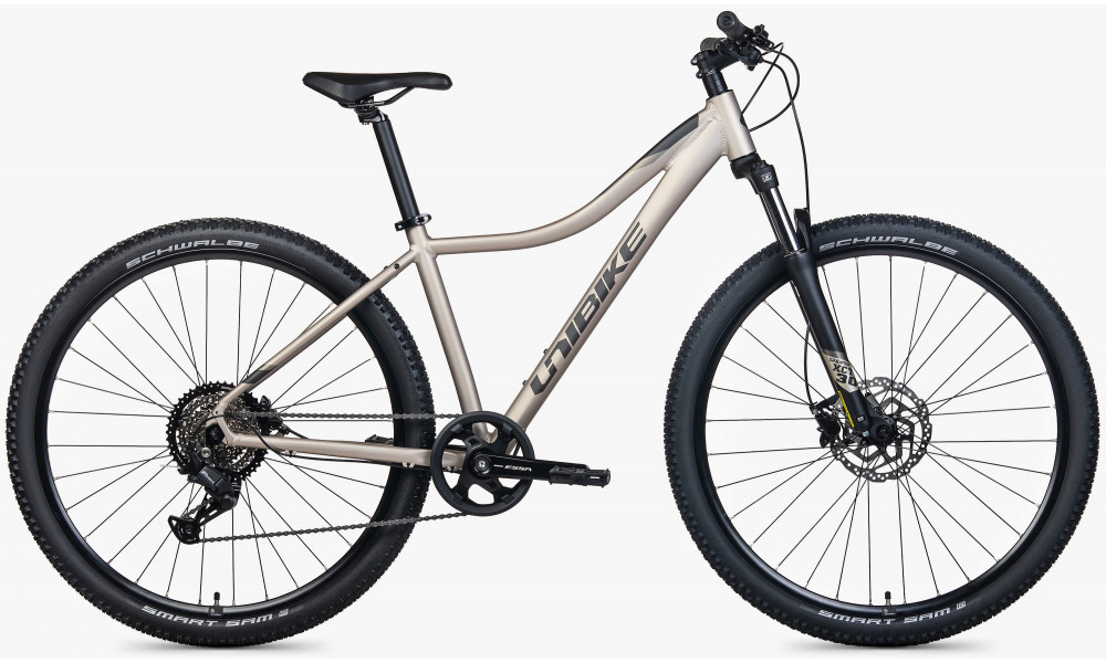Jalgratas Unibike Move 29 2026 titan - 1