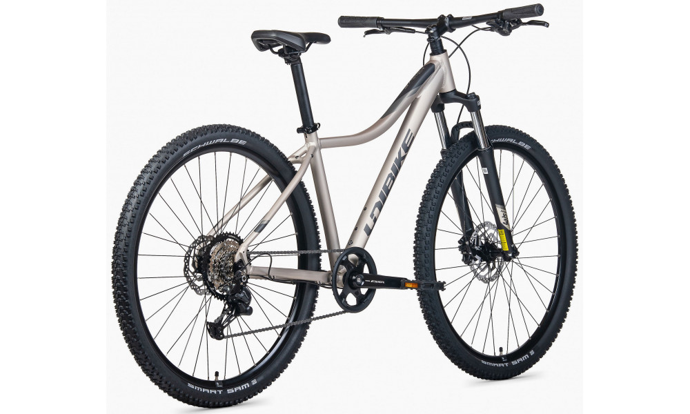 Jalgratas Unibike Move 29 2026 titan - 5
