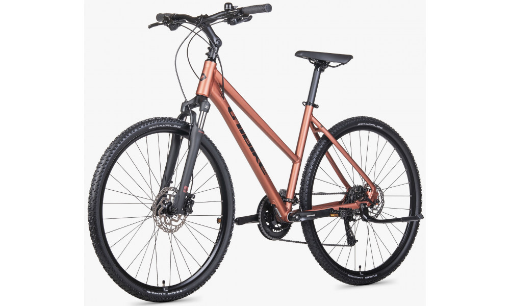 Jalgratas Unibike Flash LDS 2026 brandy - 3