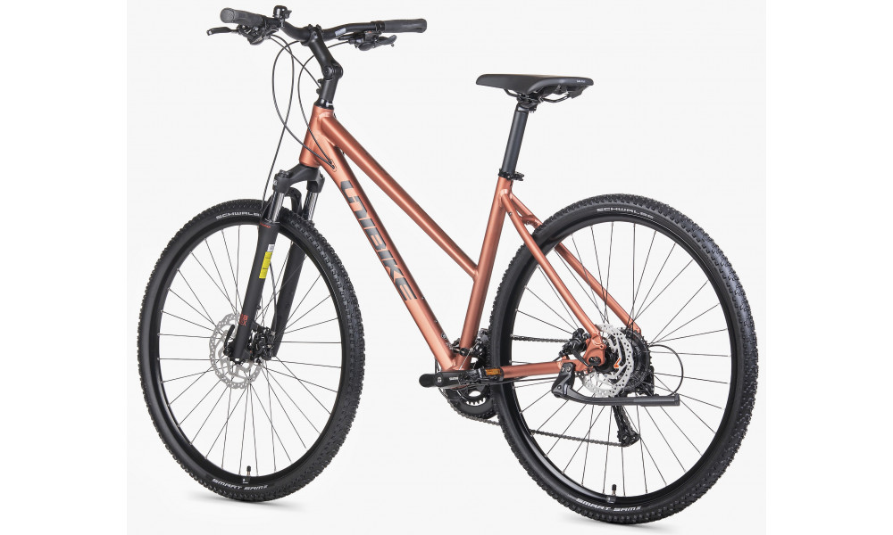 Jalgratas Unibike Flash LDS 2026 brandy - 4