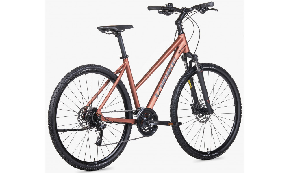 Jalgratas Unibike Flash LDS 2026 brandy - 5