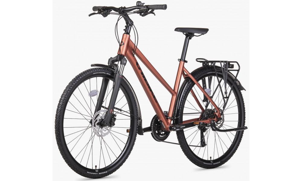 Jalgratas Unibike Flash EQ LDS 2026 brandy - 3