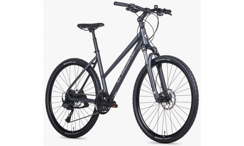 Jalgratas Unibike Viper LDS 2026 grey - 2