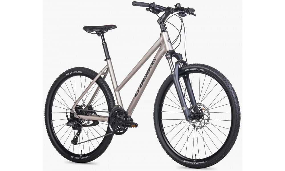 Jalgratas Unibike Viper LDS 2026 titan - 2