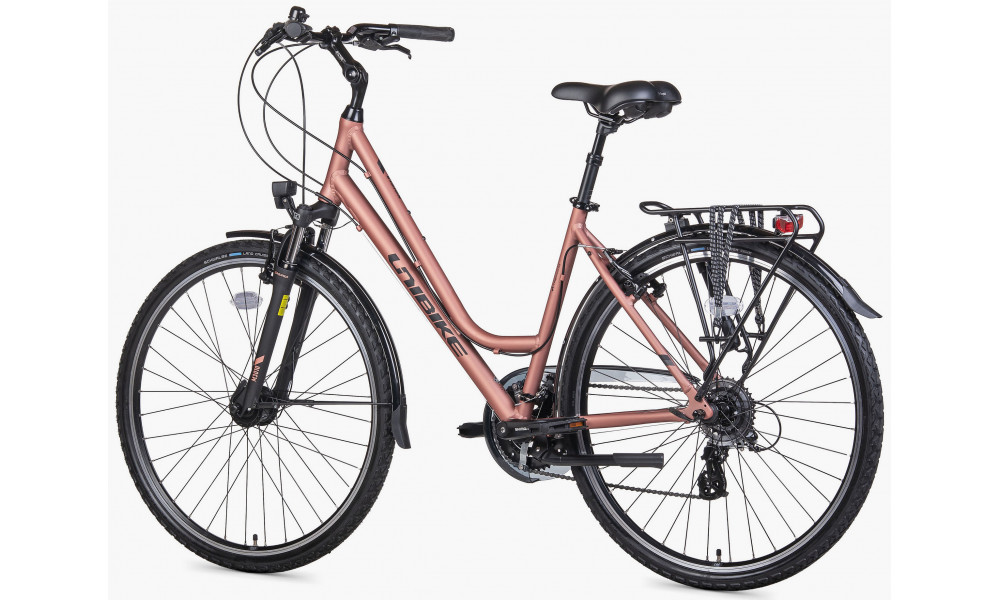 Jalgratas Unibike Vision LDS 2026 coral - 4