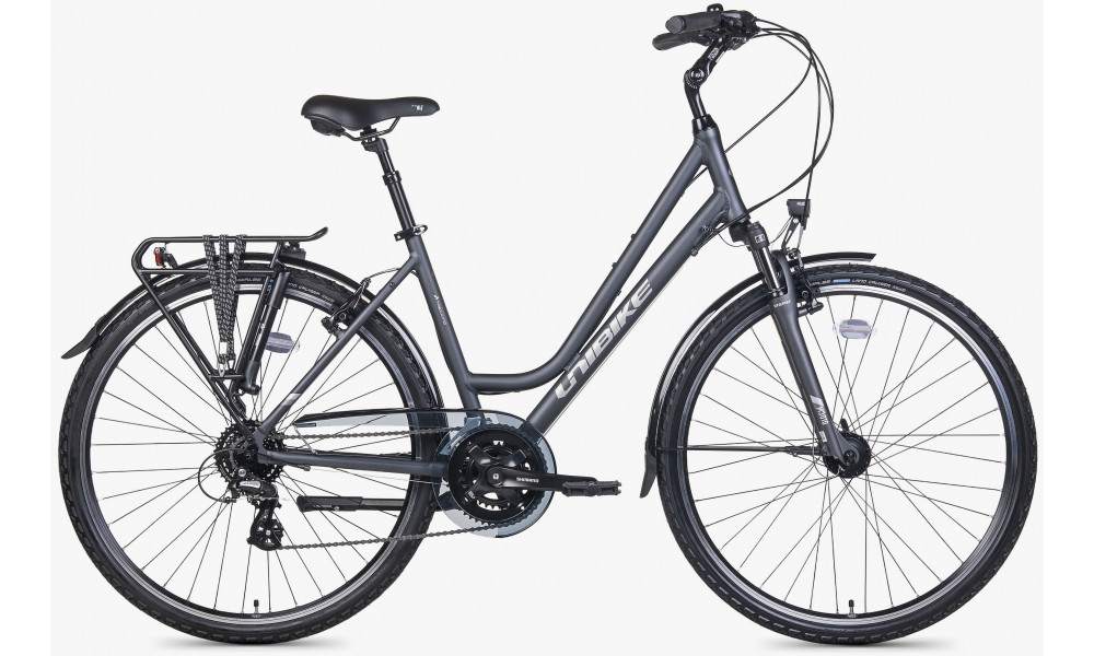 Jalgratas Unibike Vision LDS 2026 grey - 1