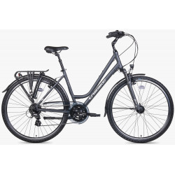 Jalgratas Unibike Vision LDS 2026 grey