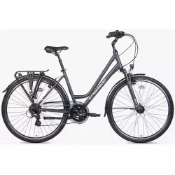 Jalgratas Unibike Vision LDS 2026 grey