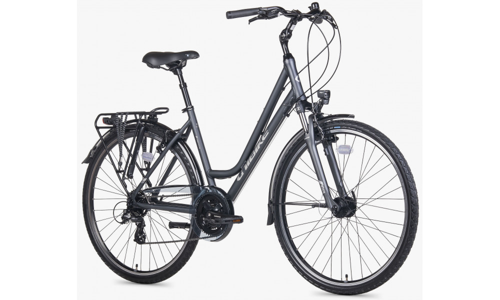 Jalgratas Unibike Vision LDS 2026 grey - 2