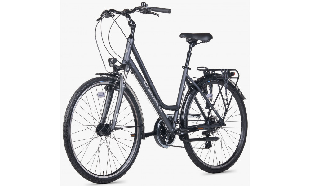 Jalgratas Unibike Vision LDS 2026 grey - 3