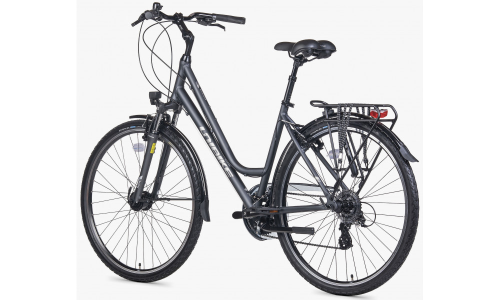 Jalgratas Unibike Vision LDS 2026 grey - 4