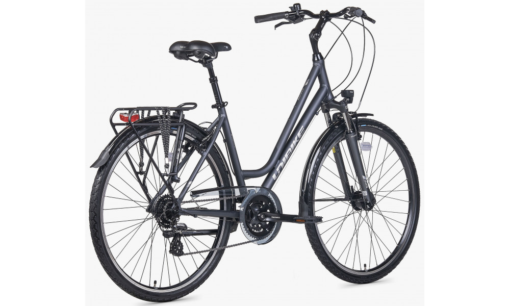 Jalgratas Unibike Vision LDS 2026 grey - 5