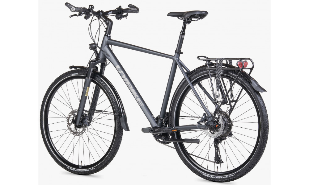 Jalgratas Unibike Globetrotter GTS 2026 grey - 5