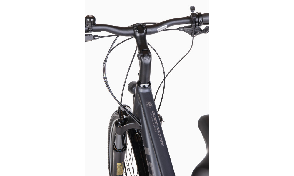 Jalgratas Unibike Globetrotter LDS 2026 grey - 2