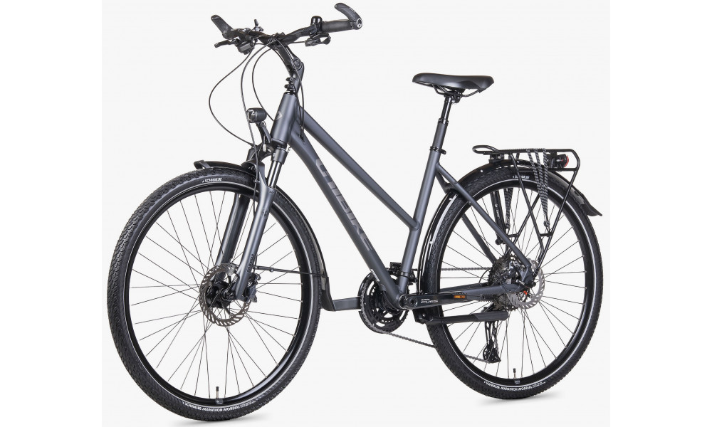 Jalgratas Unibike Globetrotter LDS 2026 grey - 4