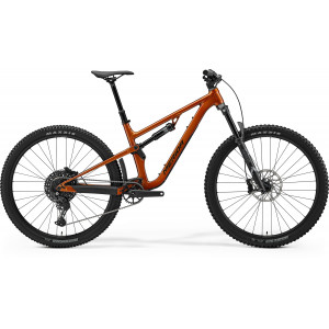 Jalgratas Merida One-Forty 400 2026 wild honey(golden black)