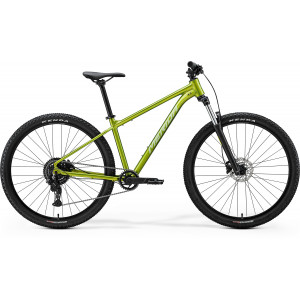 Jalgratas Merida Big.Nine 20 2026 fall green(silvergreen)