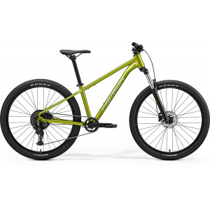 Jalgratas Merida Big.Seven 20 2026 fall green(silvergreen)