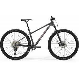 Jalgratas Merida Big.Nine TR 700 2026 silk dark grey(rainbow purple)