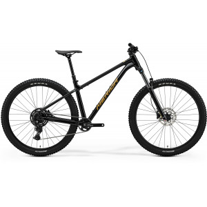 Jalgratas Merida Big.Trail 300 2026 black(brown)