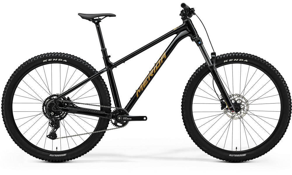 Jalgratas Merida Big.Trail 300 2026 black(brown) 