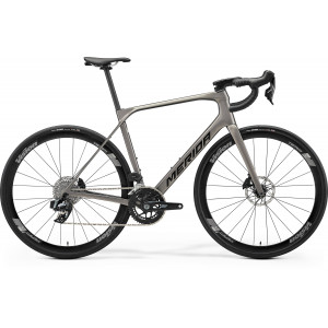 Jalgratas Merida Scultura Endurance RIVAL Edition 2026 warm slate grey(black)