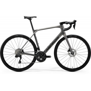 Jalgratas Merida Scultura Endurance 6000 2026 warm slate grey(black)