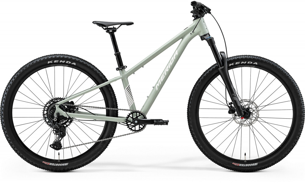 Jalgratas Merida Matts J.Champion III2 2026 silk early moss grey(white) 