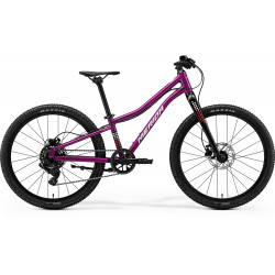 Jalgratas Merida Matts J.24+ 2026 silk purple(wht/red/blk)