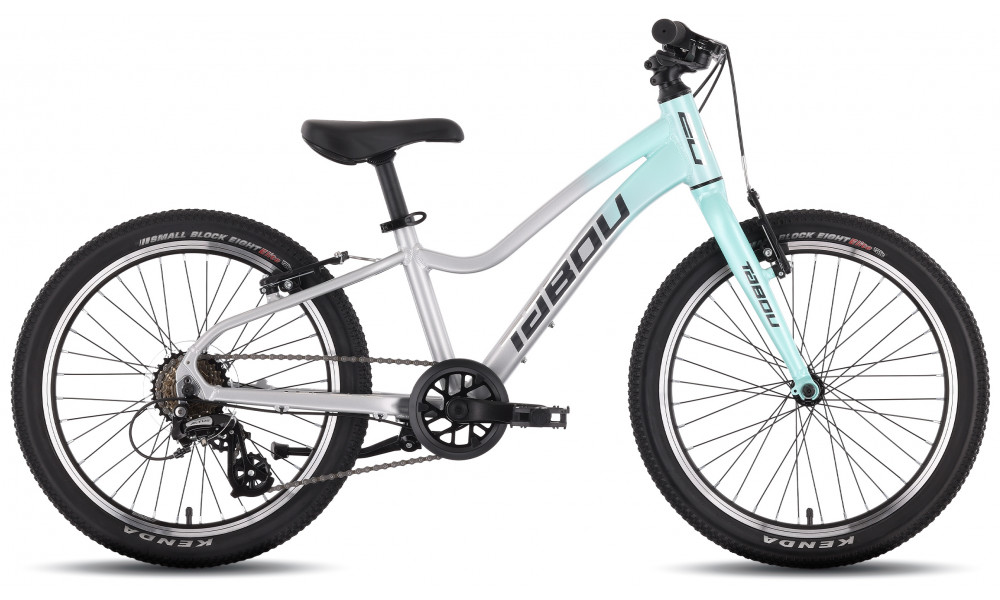Jalgratas Tabou Topshe 20 Lite mint-grey - 1