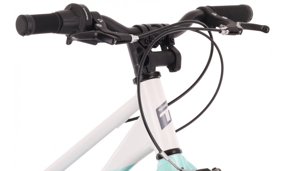 Jalgratas Tabou Superlite 20 W white-mint - 6