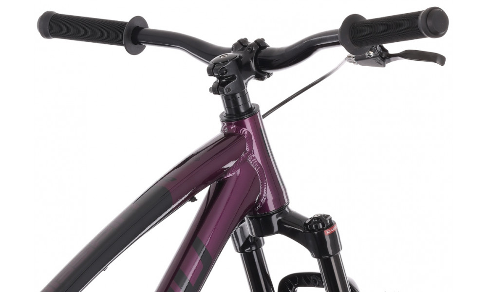 Jalgratas Tabou Tabspin JR 24 purple-black - 8