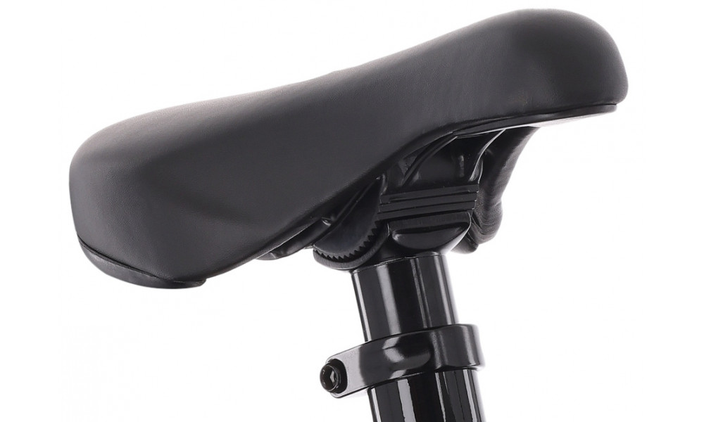 Jalgratas Tabou Tabspin JR 24 turq-black - 5
