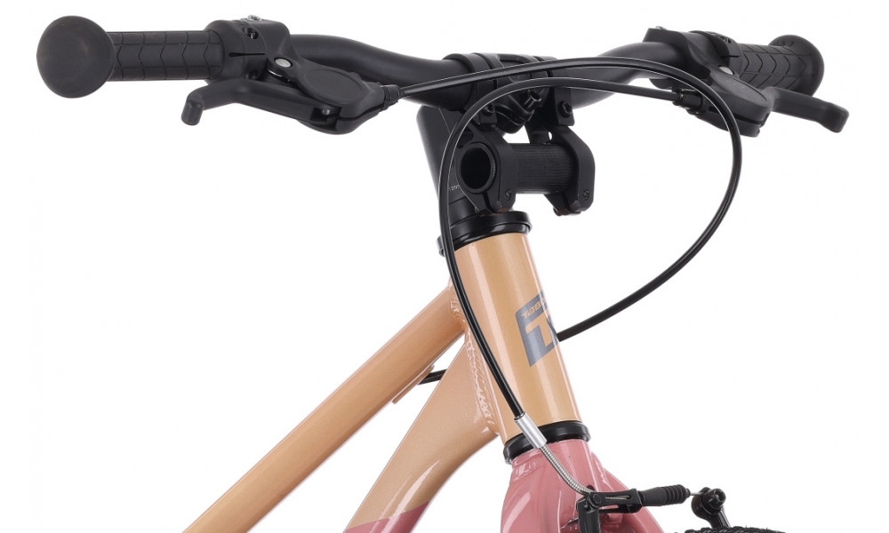 Jalgratas Tabou Superlite JR 18 W coral-pink - 5