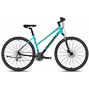 Jalgratas Tabou Flow 1 W 19 black-mint