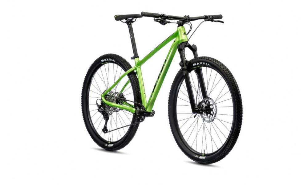 Jalgratas Merida BIG.NINE 400 2021 green - 2