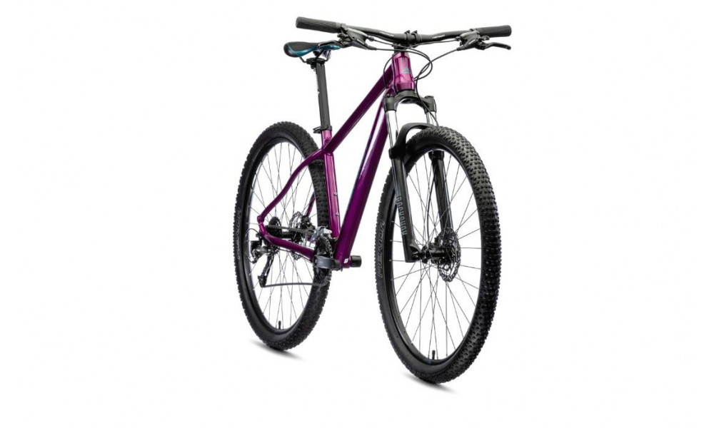 Jalgratas Merida BIG.NINE 60-2X 2021 purple - 3
