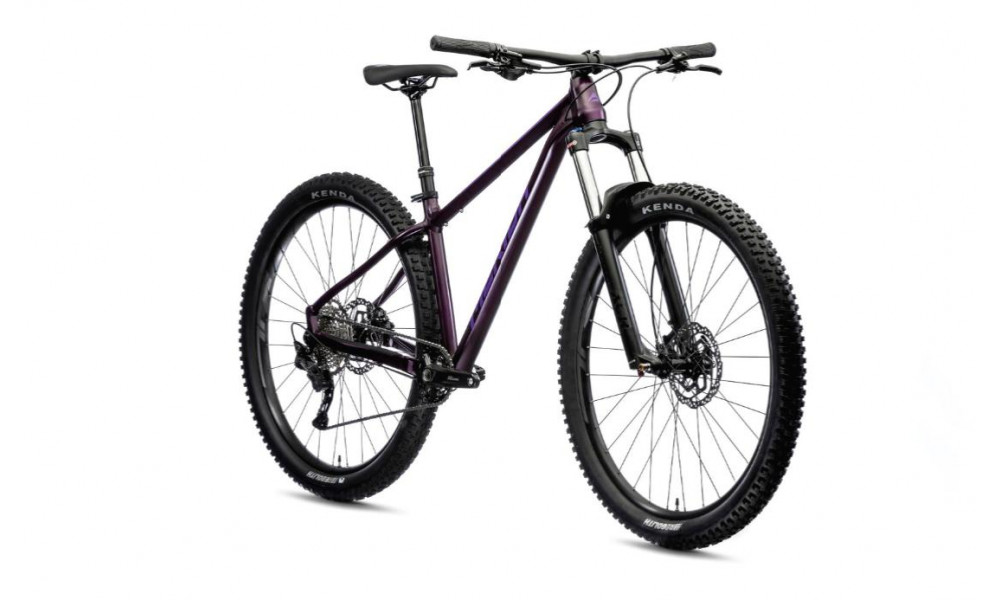 Jalgratas Merida BIG.TRAIL 400 2021 silk dark purple - 2