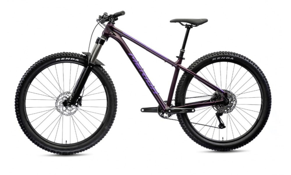 Jalgratas Merida BIG.TRAIL 400 2021 silk dark purple - 4