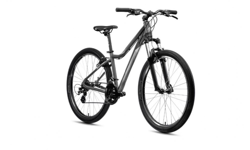 Jalgratas Merida MATTS 6.10-V 2021 matt cool grey - 3