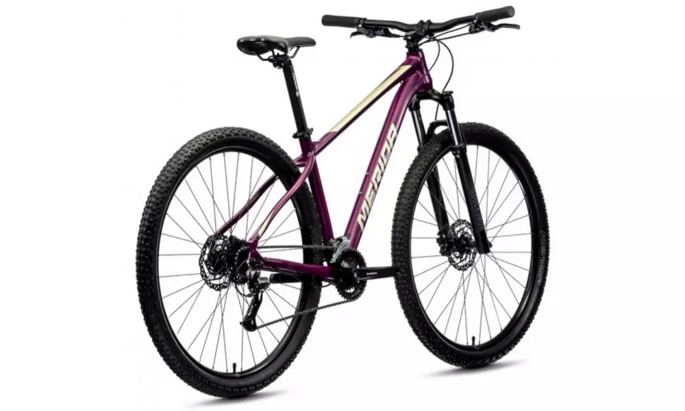 Jalgratas Merida BIG.NINE 60-2X silk purple - 5